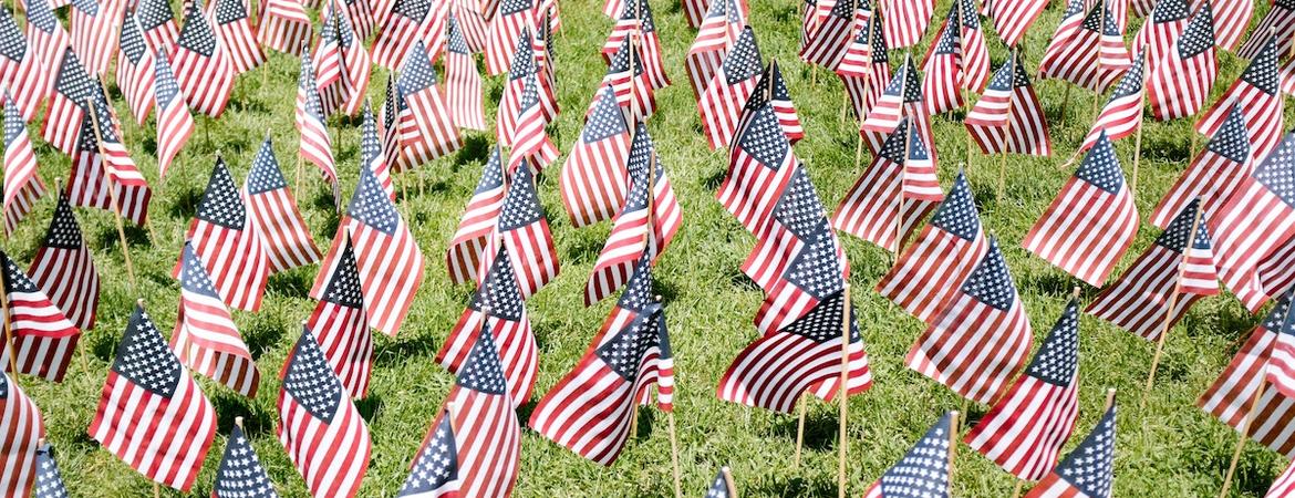 Dozens of flags in the grass