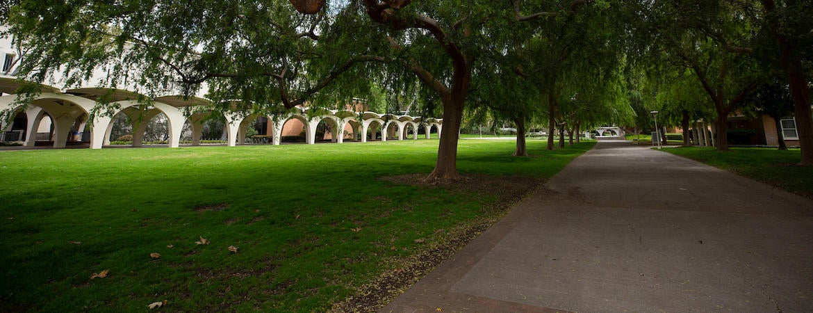 View of pathway near Rivera Library with no people.