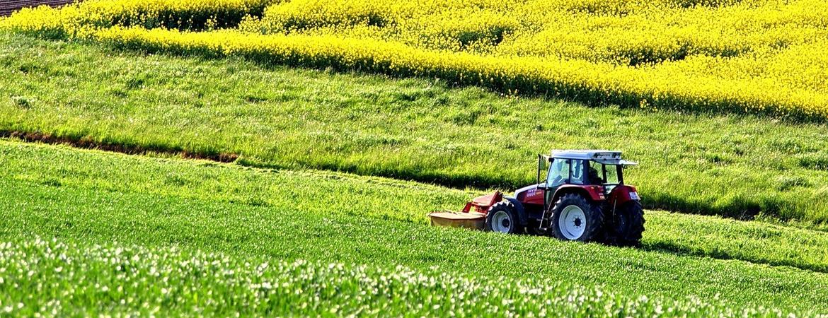 tractor in field