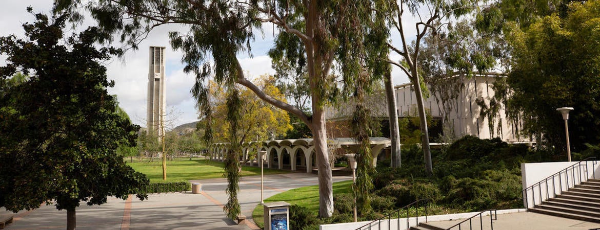 A view of the bell tower lawn on campus