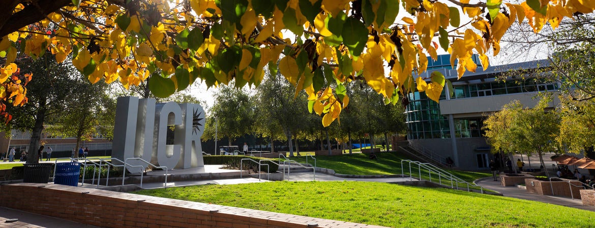 Fall leaves with the HUB and UCR sign in background