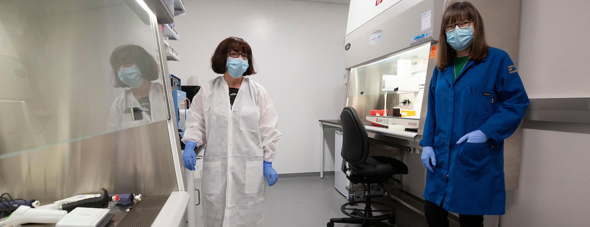 Isgouhi Kaloshian, Professor and Chair of the Department of Nematology, left, Katherine A. Borkovich, Professor and Chair, Department of Microbiology and Plant Pathology inside a COVID-19 testing lab 