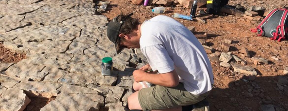 Researcher studying fossils