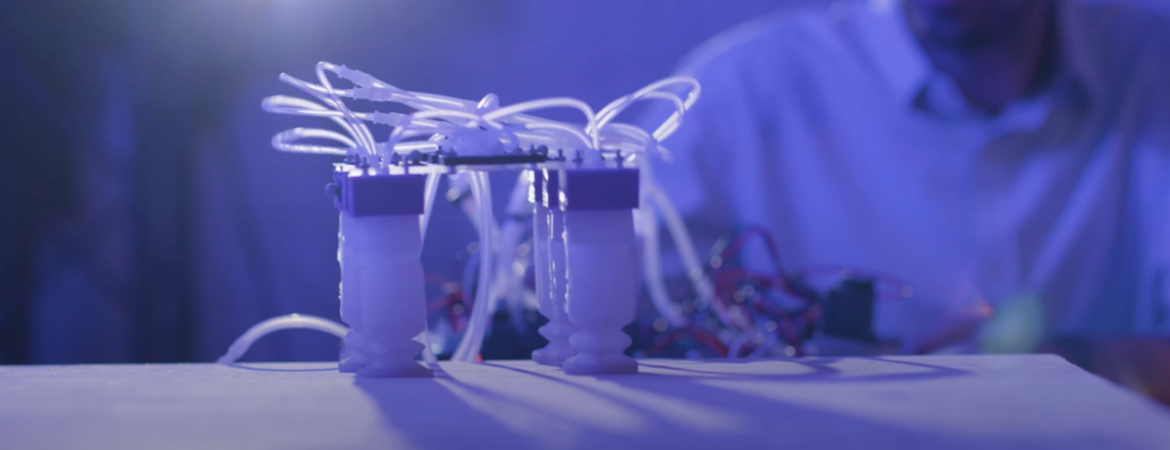 a soft robot made at UCR