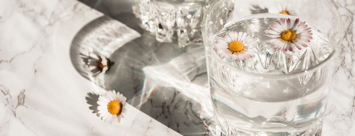 Two glasses of water with flowers floating in them by Camille Brodard on Unsplash