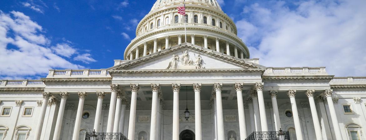 The US Capitol building