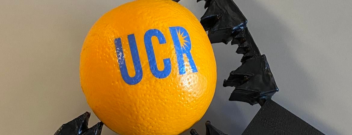 A soft robotic hand grips an orange with the UCR logo