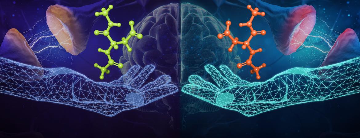 Isomers of tau protein