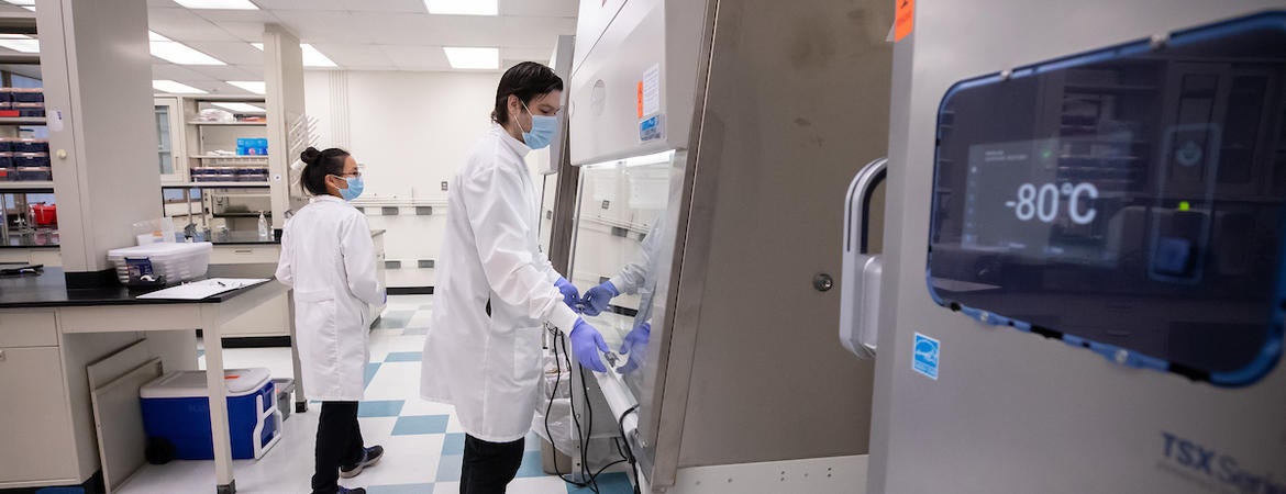 Community college transfer students accepted to UCR can now apply for a summer research internship and receive a $5,000 stipend. (UCR/Stan Lim)