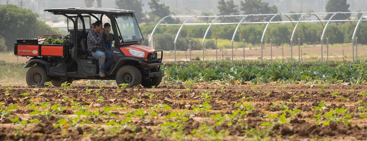 UC Riverside student interns working at the R'Garden in 2020. (UCR/Stan Lim)