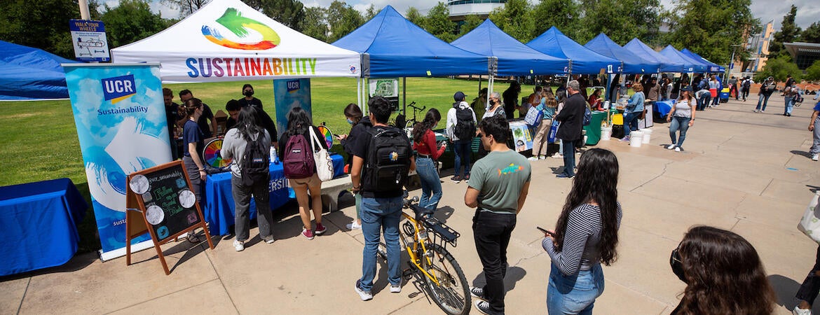 Sustainability fair