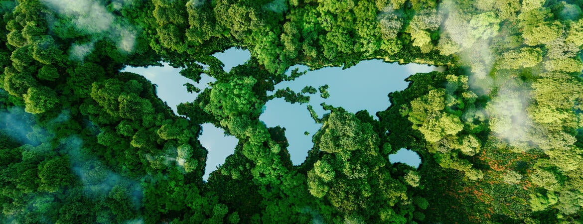 An artist illustration of a world map among a forest backdrop.