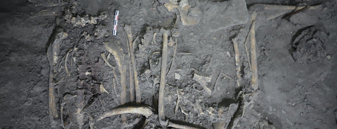 Complete skeletal remains of a 1,700 year-old spider monkey found in Teotihuacán, Mexico. PHOTO COURTESY OF NAWA SUGIYAMA