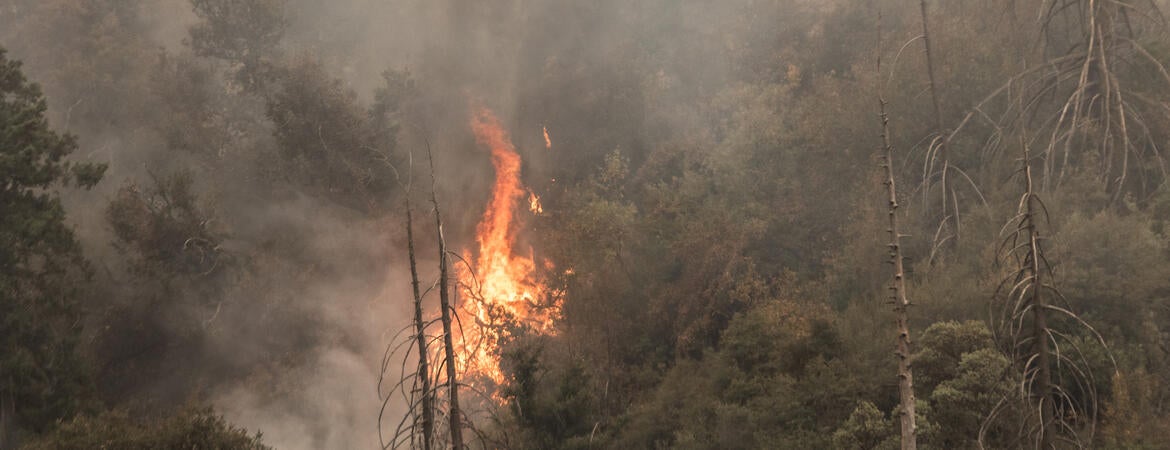 Yucaipa wildfire