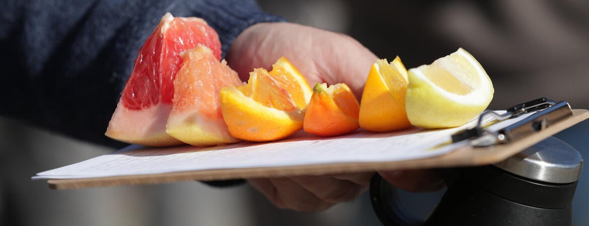 UCR wages $11+ million war against citrus greening disease