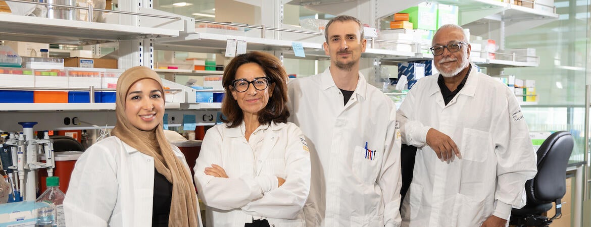Karine Le Roch and her research team