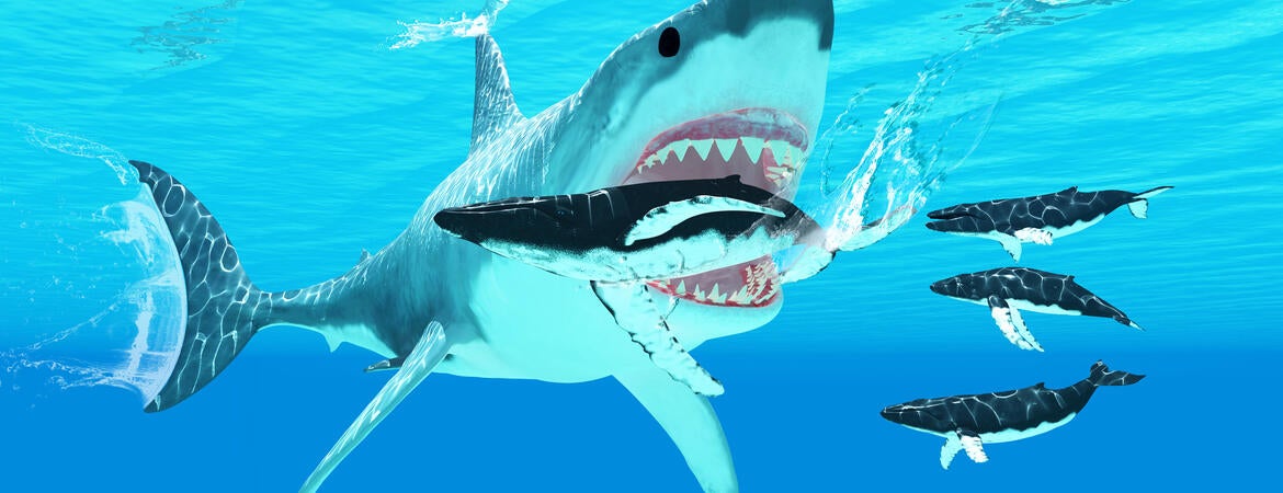 megalodon eating whale