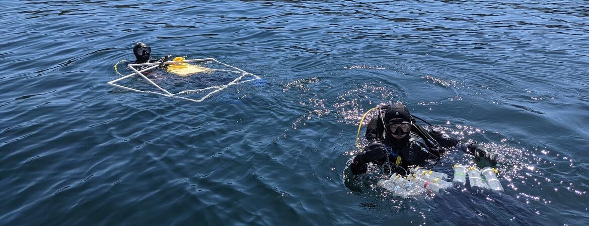 Coastal reef survey