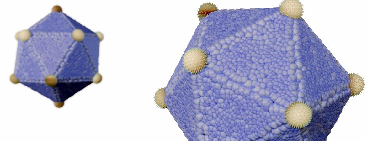Icosahedron virus