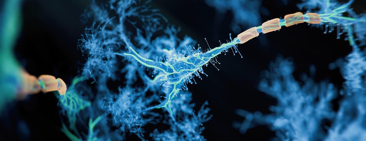 Firing neuron