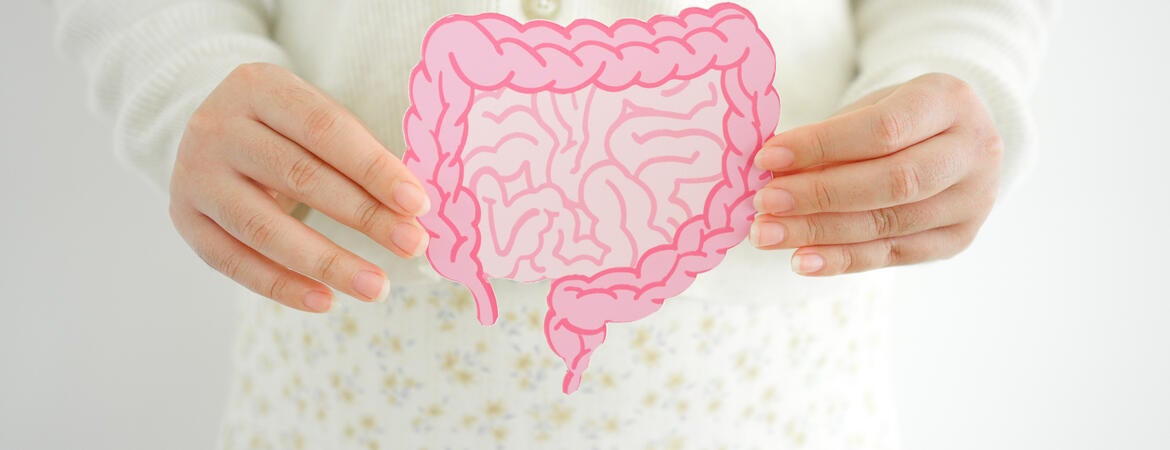 Hands holding gut image