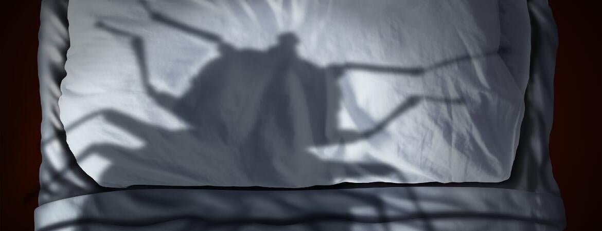 bed bug shadow on a pillow