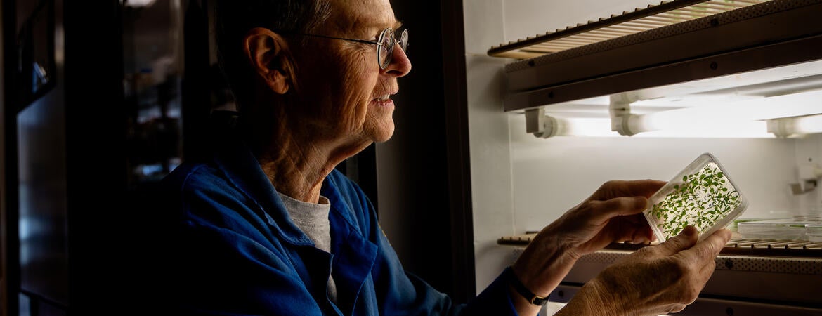 Van de Ven and lab plant specimens