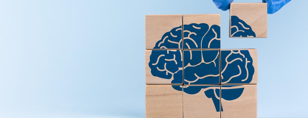 Brain puzzle getting a missing piece