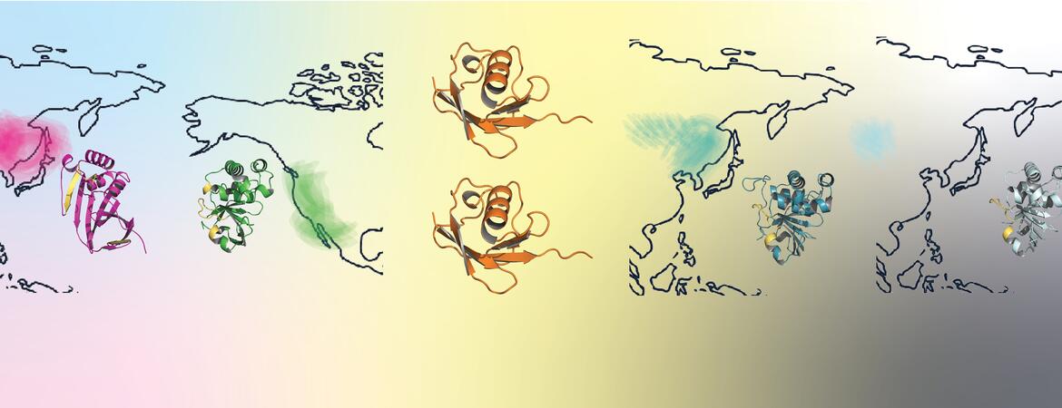 Emerging tick-borne viruses