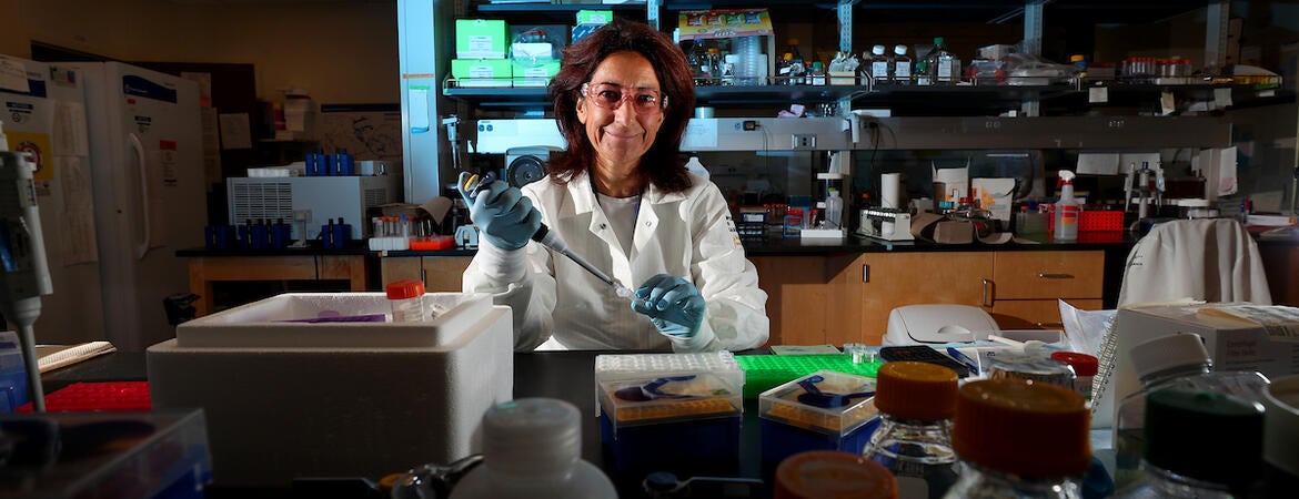 Karine Le Roch in the lab