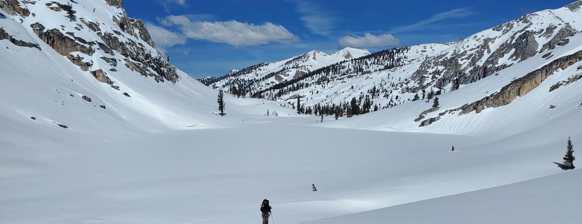 Sierra Nevada fresh snow