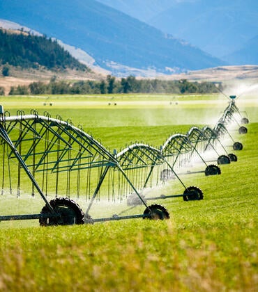 crop irrigation