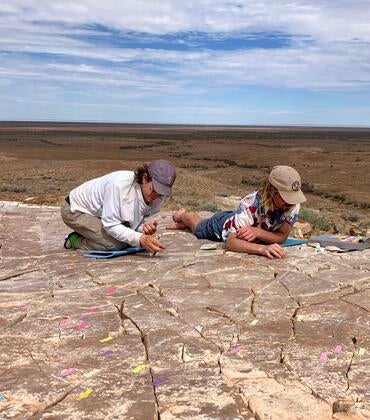 Scott Evans and Ian Hughes excavating a fossil bed at Nilpena National Park.
