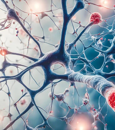 Neural network brain cells