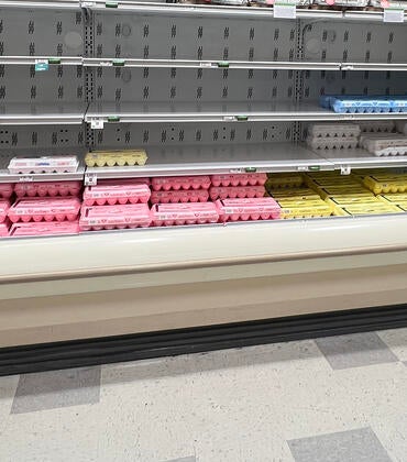 egg shortages