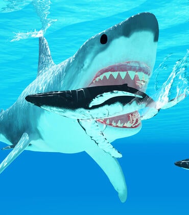 megalodon eating whale