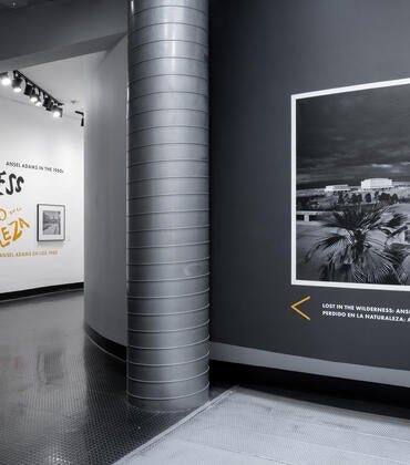 Lost in the Wilderness exhibition at UCR Arts
