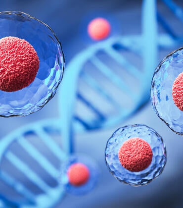 Stem cells