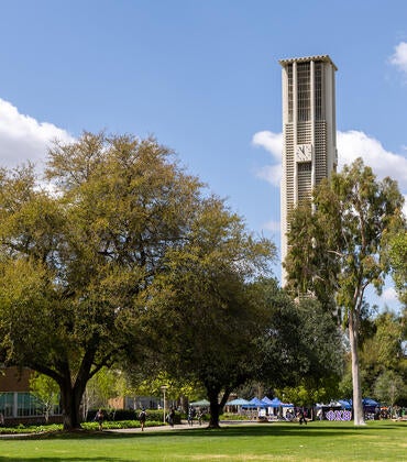 Pierce Lawn on campus