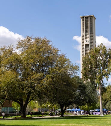 Pierce Lawn on campus
