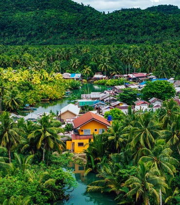Philippine village in a forest