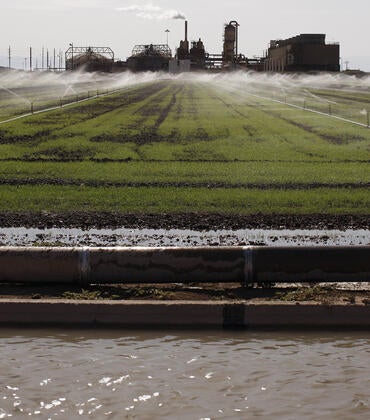 Water use on an Imperial Valley farm.