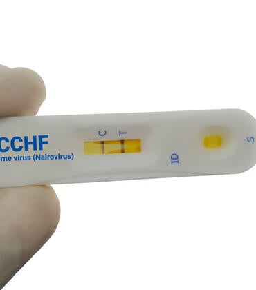CCHFV
