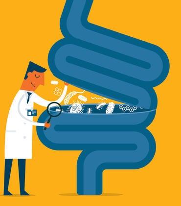 Doctor looking into a gut