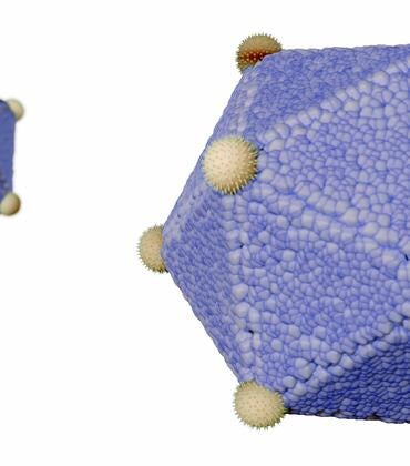 Icosahedron virus