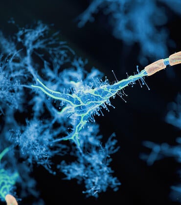 Firing neuron