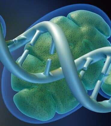 A 3d rendering of a mitochondrion and DNA helix