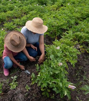 Mother and daughter harvesting the land