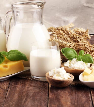 dairy and wheat beat cholera