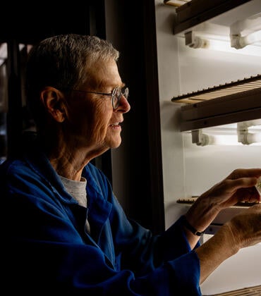 Van de Ven and lab plant specimens